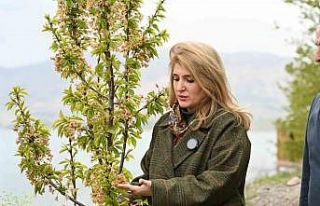 Milletvekili Ölmeztoprak: "Yaraları hep birlikte...