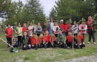 Minik öğrencileri fidanları toprakla buluşturdu