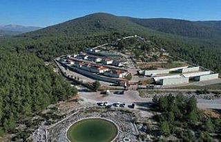 Muğla’da 3 bin 596 can dostu sahiplendirildi