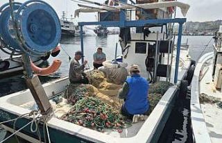 Müsilaj endişesi yeniden gündemde: "Balığın...