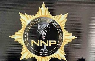 Niğde’de narkotik operasyonu: 9 kişi yakalandı