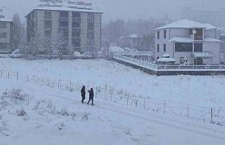 Nisan ayında kış geri geldi: Bingöl güne beyaz...