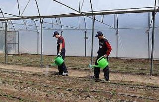 Okul bahçesinde kurulan serada öğretmen ve öğrenciler...