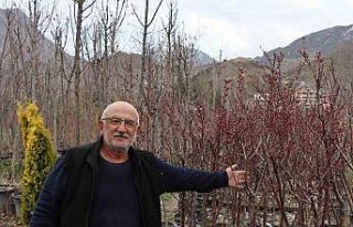 Ömrünü fidan üretimine adadı