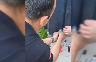 Pervaza sıkışan muhabbet kuşu  kurtarıldı