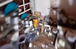 Rize’de kış uykusundan uyanan ayılar bu kez Anzer...