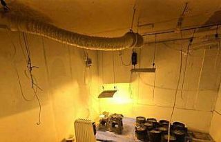 Sakarya’da uyuşturucu ve kaçakçılık operasyonları:...