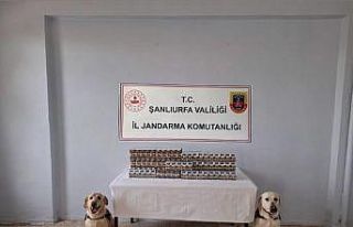 Şanlıurfa’da bin 720 paket kaçak sigara ele geçirildi