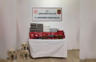 Şanlıurfa’da kaçak alkol ve tütün ele geçirildi