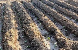 Sebze fiyatlarındaki artış vatandaşın üretimini...