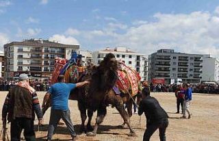 Şehir merkezinde 30 yıl sonra cami yararına deve...