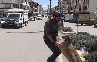 Seyyah Ömer, ‘Yoldaş’ ile 63. durağı olan...