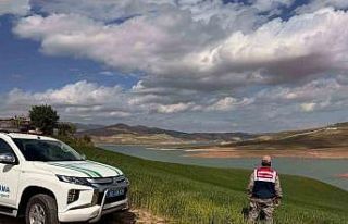 Siirt’te feyezan dönemi denetimleri başladı