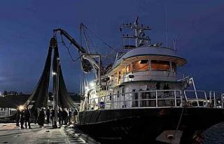 Su ürünleri av sezonu yarın sona eriyor