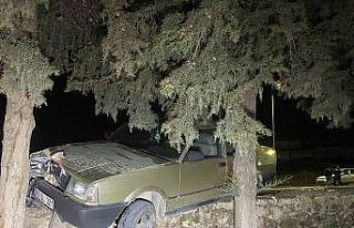 Sürücüsü kalp krizi geçiren otomobil ağaca çarptı:...