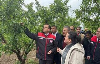 Tarım ve Orman Bakan Yardımcısı Gizligider, Denizli’de...