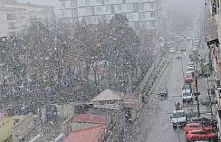 Tatvan’da kar yağışı etkili oluyor