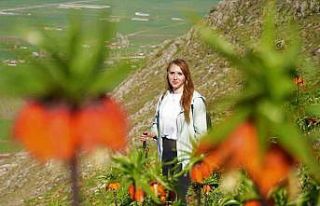 Ters laleler için 3 saat yürüdüler