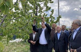 TZOB Genel Başkanı Şemsi Bayraktar: "3 gün...