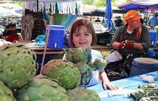 Uluslararası Urla Enginar Festivali başladı