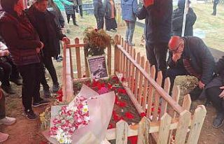 Ünlü sanatçı Volkan Konak’ı sevenleri yalnız...