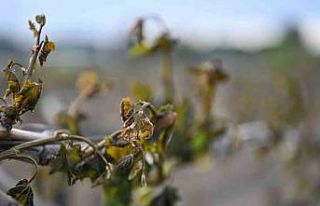 Vali Özkan: "Çiftçilerimizin yanındayız"