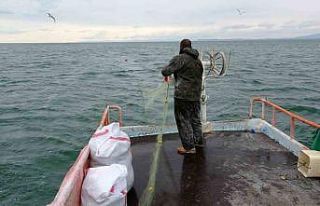 Van Gölü’nde son ağlar çekildi: İnci kefali...