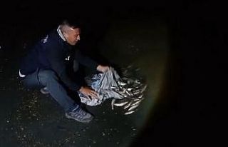 Van’da inci kefali göçü başladı: 60 kilo balığa...