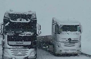 Van’da kar yağışı