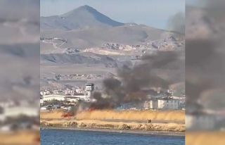 Van’da sazlık alanda yangın