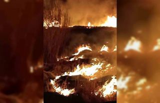 Van’ın Gevaş ilçesinde son 2 günde 3 sazlık...