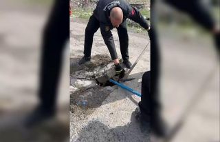 Yağmur suyu hattına düşen yavru ördek kurtarıldı