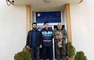 Yaralı kaya kartalına jandarma şefkati