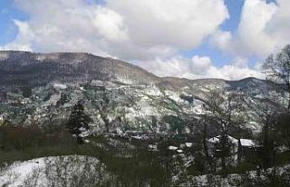 Yeşilin karla buluşması kartpostallık görüntüler...