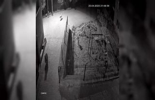 Yiyecek aramaya inen ayıyı köpekler kovaladı:...