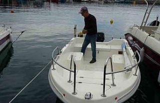 Yunusların görsel şöleni heyecanlandırdı