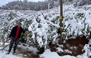 Zonguldak’ın yüksek kesimlerinde kar etkili oldu