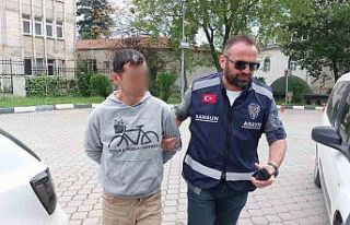 20 yıl hapis yatıp çıkan şahıs, yeniden hırsızlık...