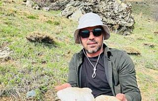 2 bin rakımın üzerinde yetişen mantarları topluyorlar