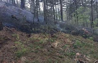 Afyonkarahisar’da orman yangını