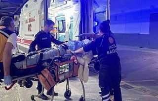 Ağaca çarpan otomobilin sürücüsü ağır yaralandı