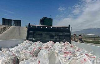 Ağrı’da 2 ton kaçak inci kefali ele geçirildi