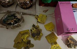 Ağrı’da usulsüz hayvan sevk belgesi operasyonu:...