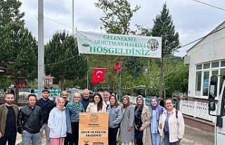 Akademi öğretmenleri Armutalan’da atölye ziyareti...