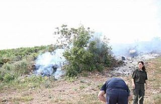 Alanya’da makilik alanda yangın
