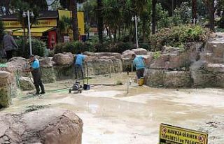 Alanya’da süs havuzları yaz sezonuna hazırlanıyor