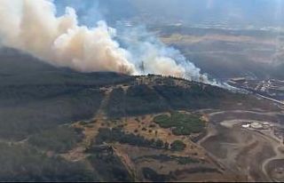 Aliağa’da ormanlık alandaki yangın kontrol altında