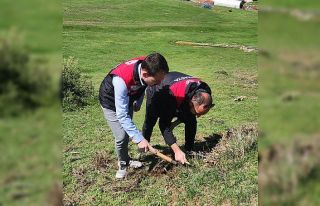 Amasya’da tarım ekipleri süne sürvey çalışmalarını...