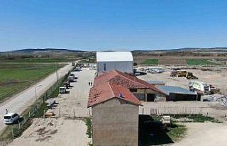 Anadolu’dan Sofraya Kum Mercimeği Eleme ve Paketleme...