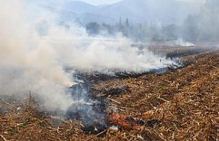 Anız yangınlarına dikkat!